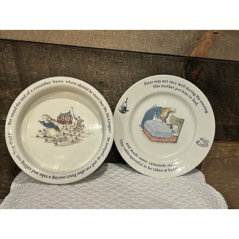 Vintage Set of 2 Wedgwood Beatrix Potter Peter Rabbit Plate & Porridge Bowl READ